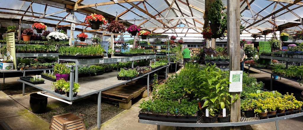 East Bay Nursery | 2332 San Pablo Ave, Berkeley, CA 94702 | Phone: (510) 845-6490