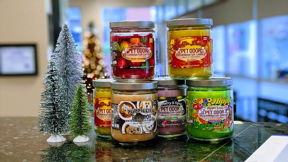 Spay Neuter Clinic of the Carolinas | 8045 Providence Rd #450, Charlotte, NC 28277, USA | Phone: (704) 542-9997