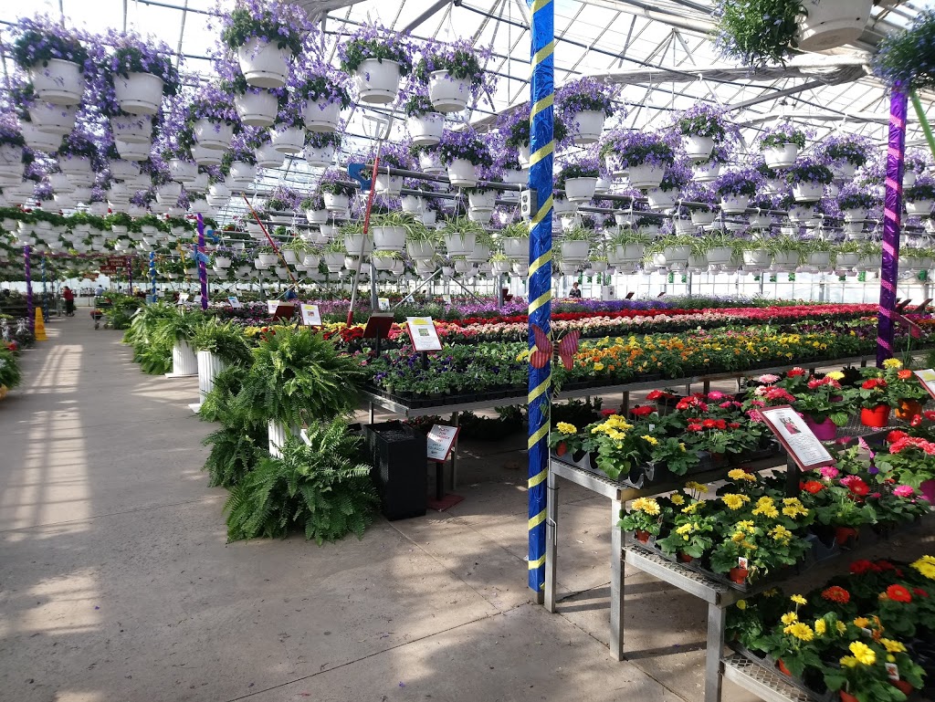 Sunshine Express Garden Centre | 18 Carlton Street East, Niagara-on-the-Lake, ON L0S 1J0, Canada | Phone: (905) 641-0983