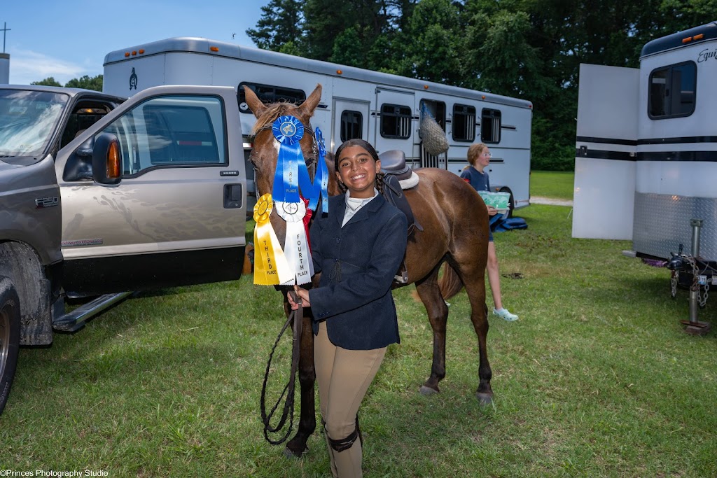 Topline Horse Center - Sunday