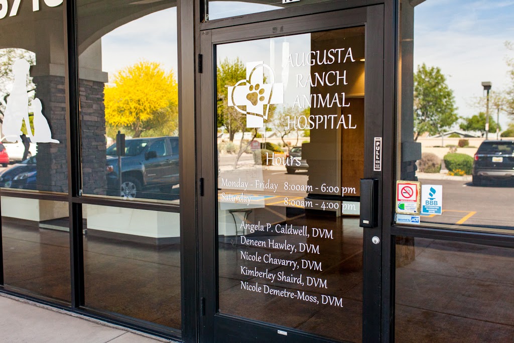 Augusta Ranch Animal Hospital | 2721 S Ellsworth Rd #101, Mesa, AZ 85209, USA | Phone: (480) 380-6710