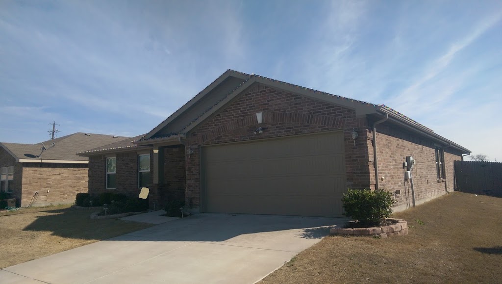 Parker Sitting - North Texas Dog Sitter | 1418 Feather Crest Dr, Krum, TX 76249, USA | Phone: (940) 255-1675