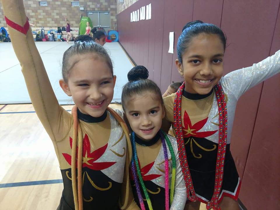 Valley-Wide Elite Gymnastics | 25625 Briggs Rd, Menifee, CA 92585, USA | Phone: (714) 600-3099