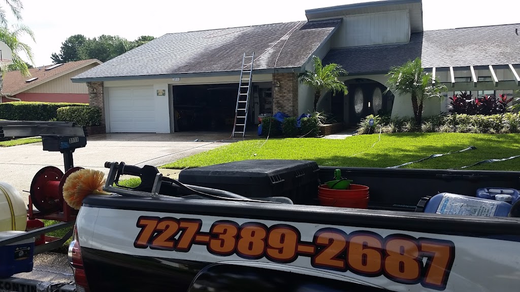 Bay Area Roof Cleaning Co. | 5109 Drury Ct, New Port Richey, FL 34653, USA | Phone: (727) 389-2687