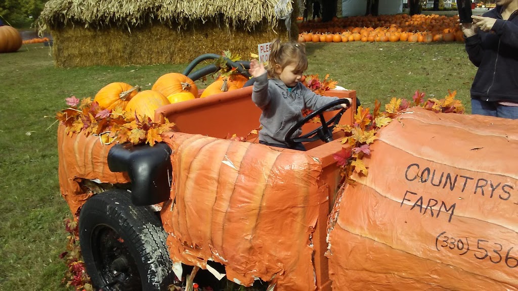 Countryside Farm Barn Venue | 4684 Center Rd, Lowellville, OH 44436, USA | Phone: (330) 536-2178