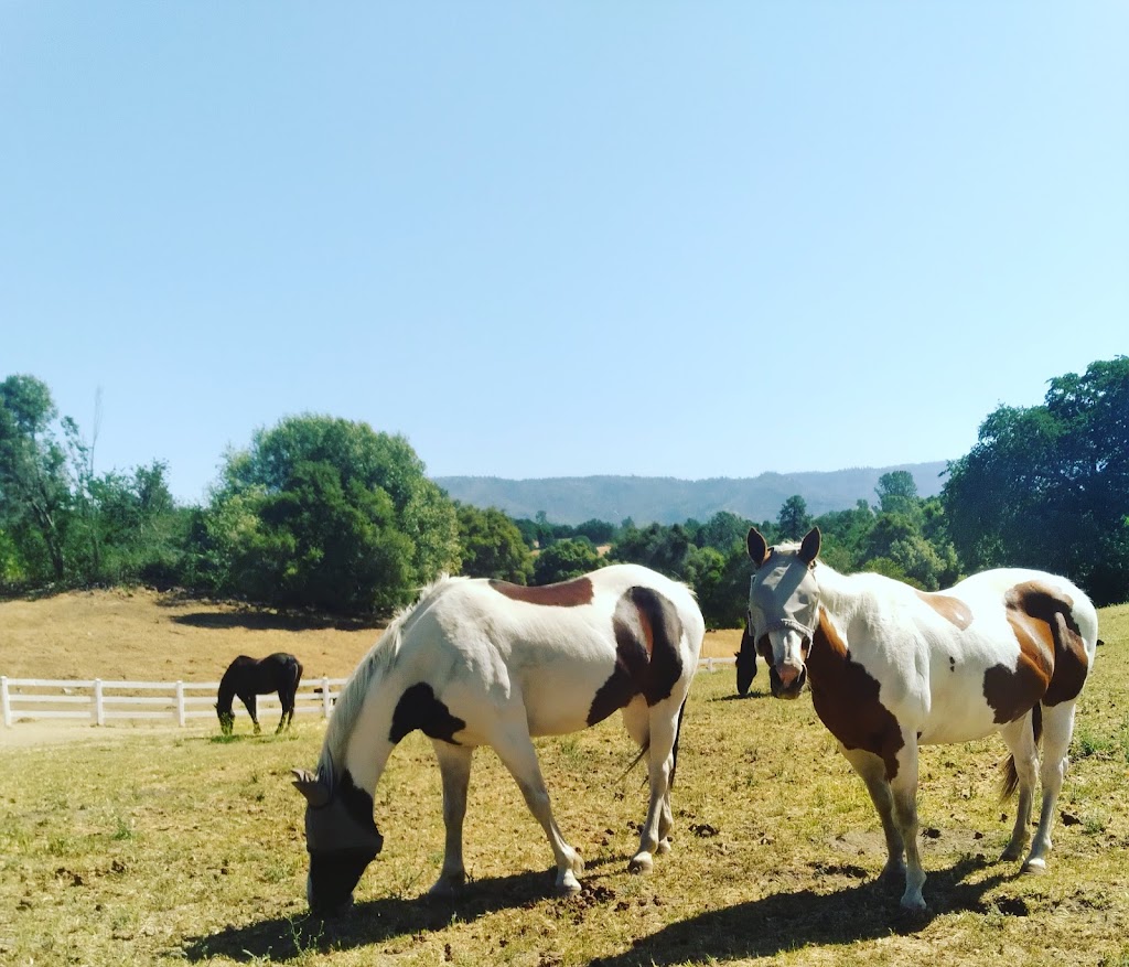 Star Ridge Horse Trails | Lumberg Rd, North Fork, CA 93643, USA | Phone: (559) 476-7272