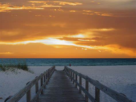 Gulf Nexus | 2373 Hidden Lake Dr, Palm Harbor, FL 34683, USA | Phone: (727) 485-3516