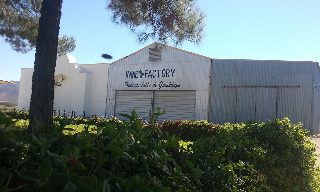 Wine Factory | Carretera Francisco Zarco Km. 3.6 Ejido El Porvenir, 22755 Ensenada, B.C., Mexico | Phone: 646 156 8061