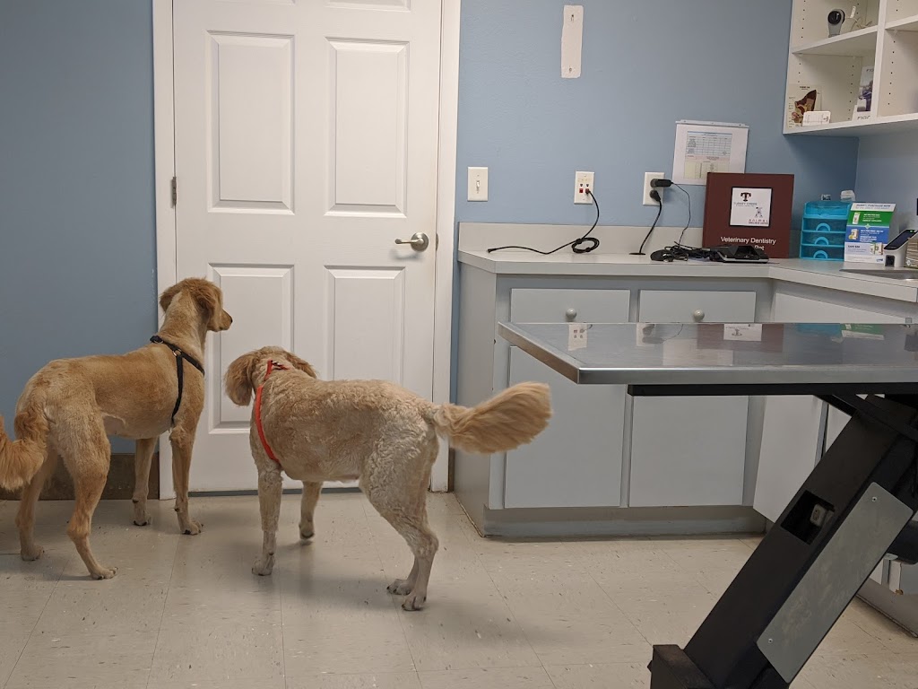 Turkey Creek Animal Hospital | 4645 US-92, Plant City, FL 33563, USA | Phone: (813) 752-1010