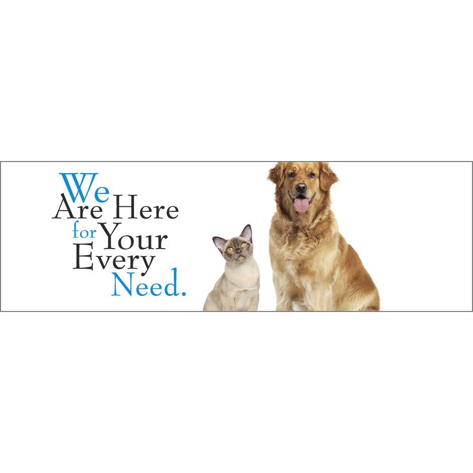 Willow Bend Vet Clinic | 4040 Preston Rd, Plano, TX 75093, USA | Phone: (972) 867-4437