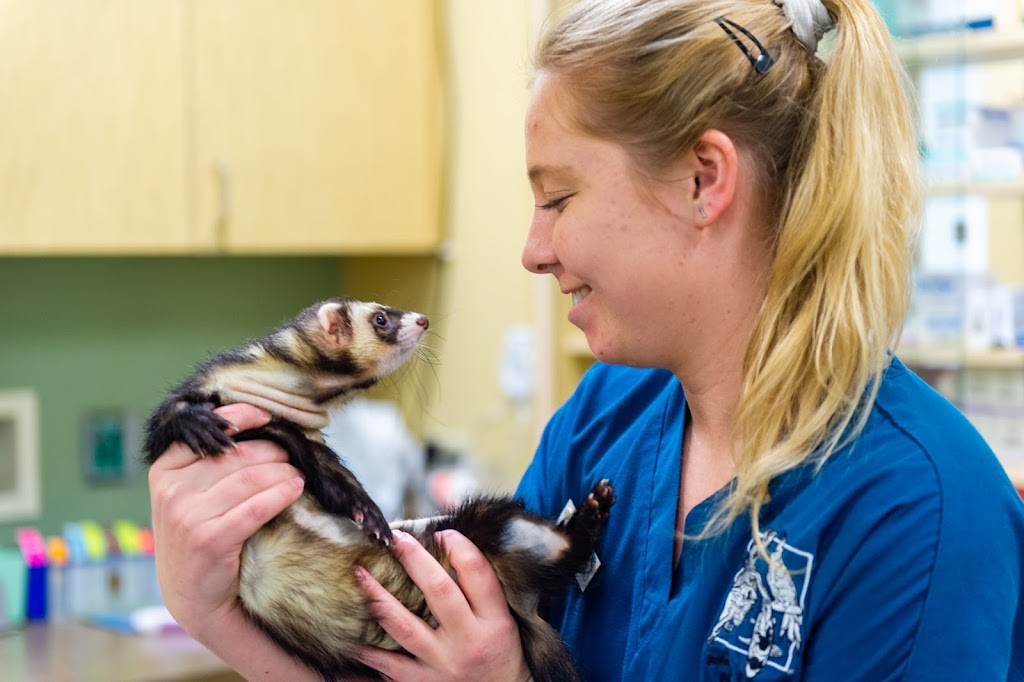 Avian and Exotic Animal Care | 8711 Fidelity Blvd, Raleigh, NC 27617, USA | Phone: (919) 844-9166