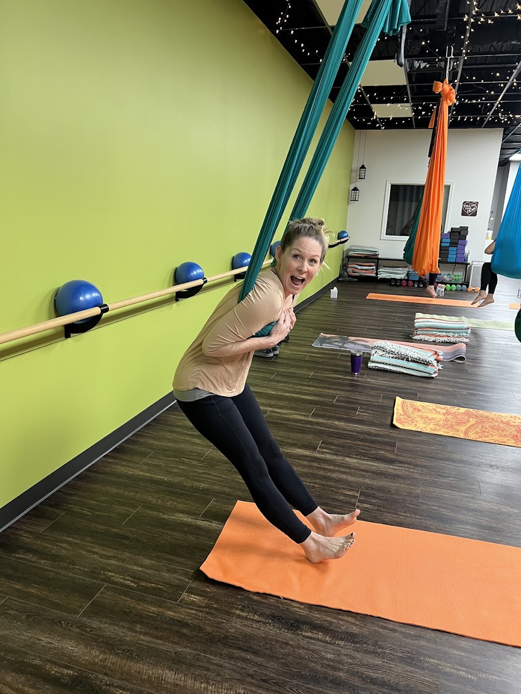 Flying Frog Fitness | 24 Solomons Island Rd S, Prince Frederick, MD 20678, USA | Phone: (443) 684-7880