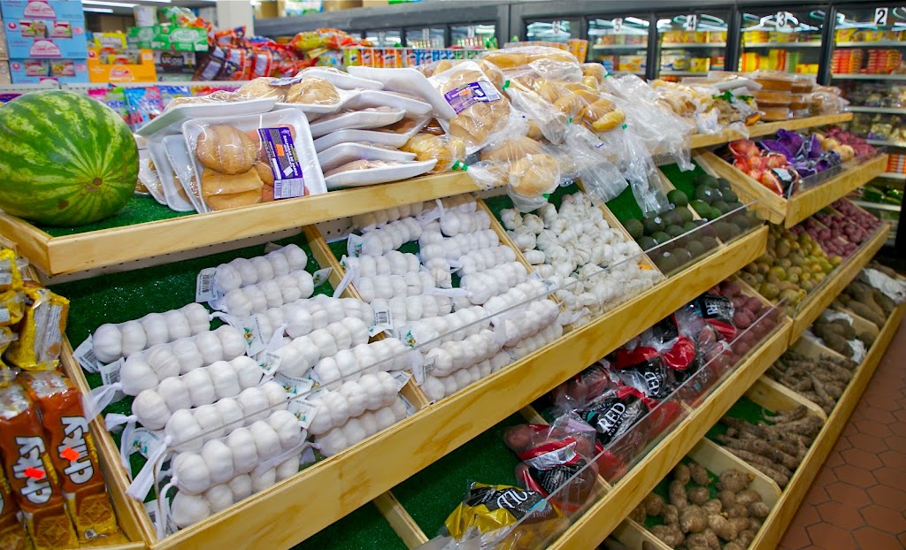 New Family Supermarket | 205 Humboldt Ave, Dorchester, MA 02121, USA | Phone: (617) 445-7135