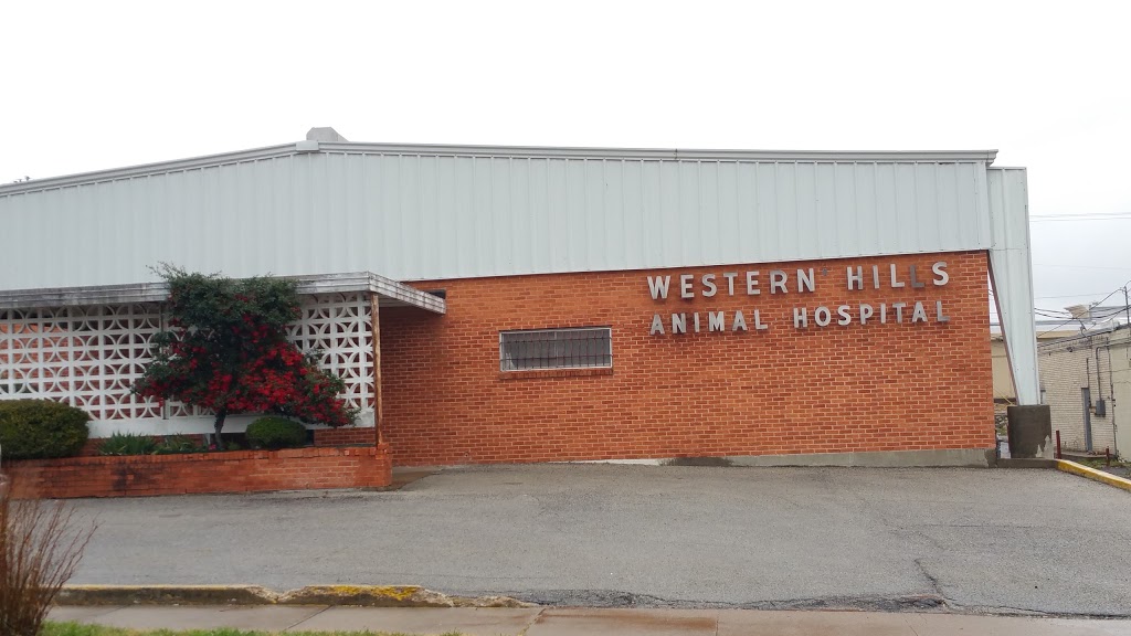 Western Hills Animal Hospital | 3325 Phoenix Dr, Fort Worth, TX 76116, USA | Phone: (817) 244-1201