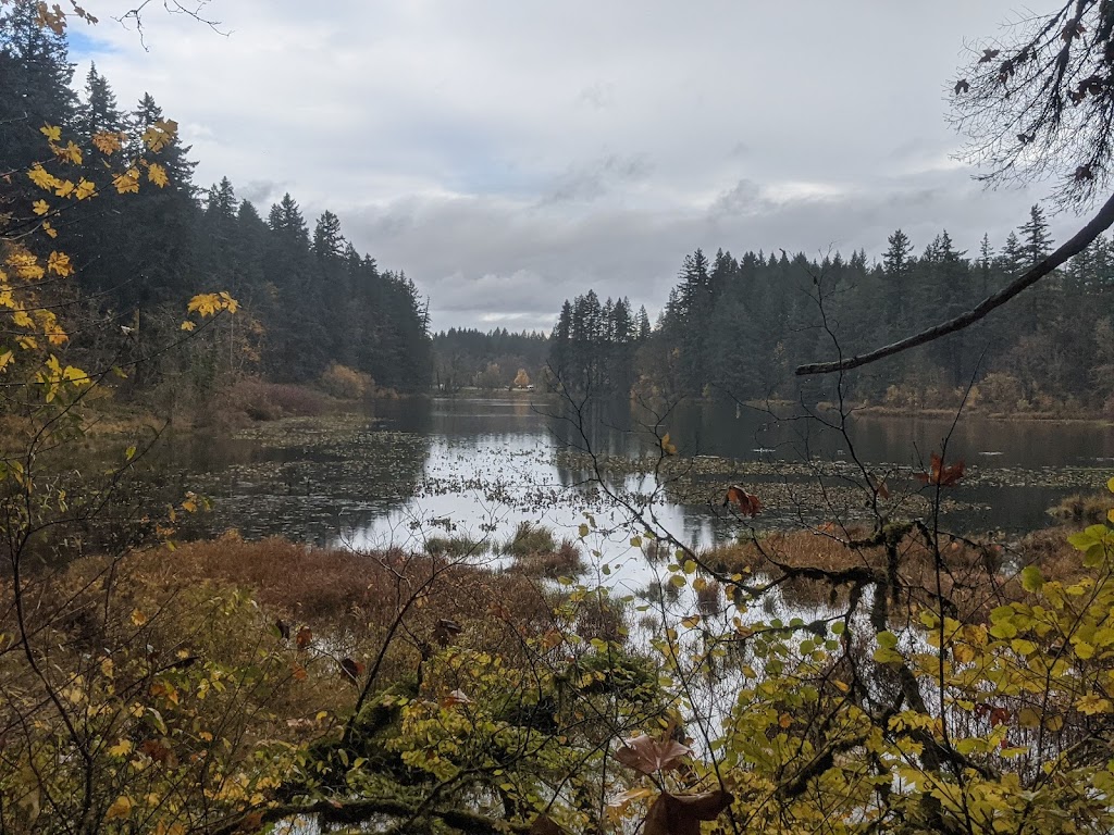 Fallen Leaf Lake Park | 2911 NE Everett St, Camas, WA 98607, USA | Phone: (360) 834-5307