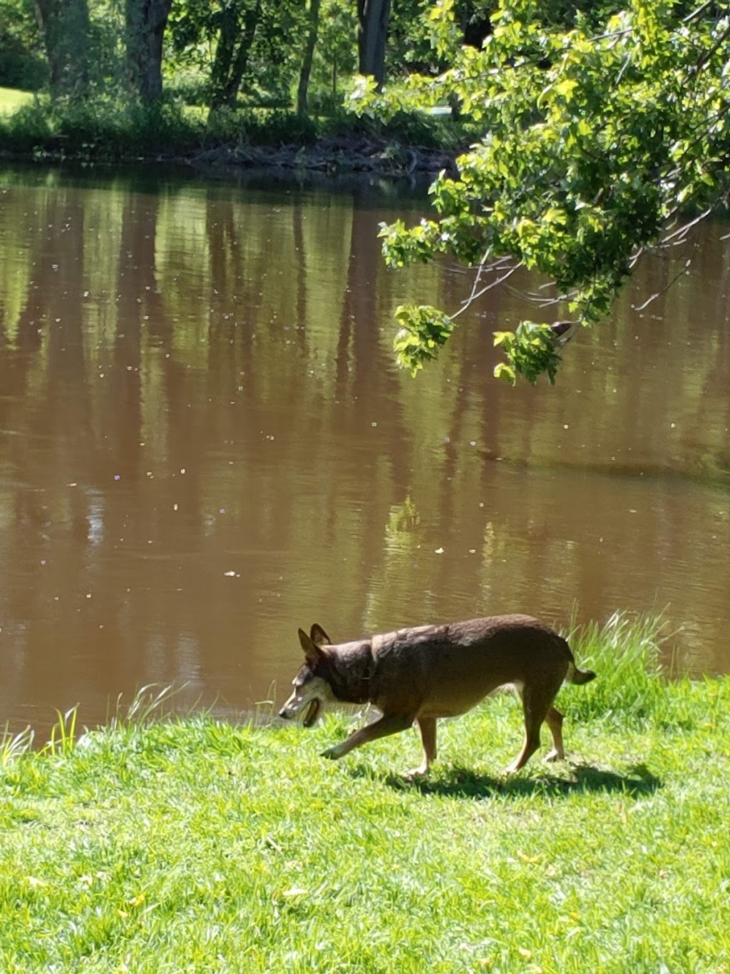 Ehlers County Park | County Hwy W, Saukville, WI 53080, USA | Phone: (262) 284-8272