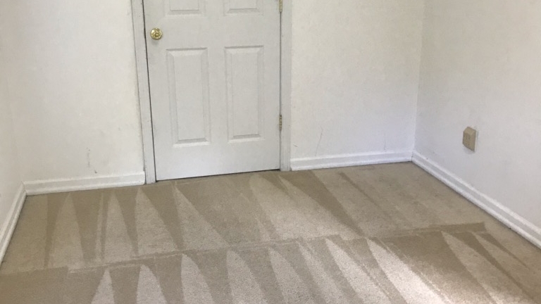 Regal Carpet and Upholstery Cleaning | 1110 Wall St, Statesville, NC 28677, USA | Phone: (704) 775-2349