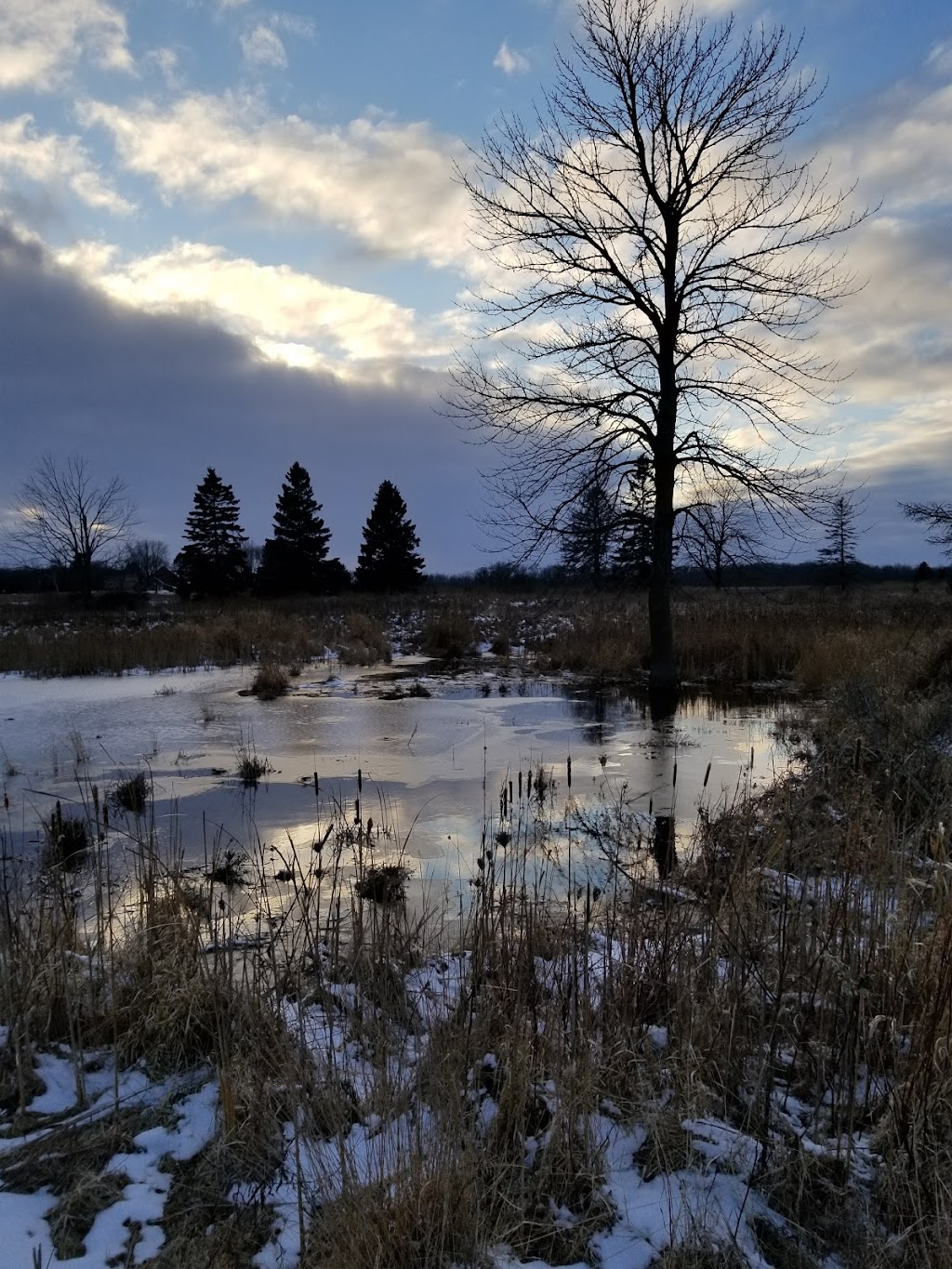 Forest Beach Migratory Preserve | 4970 Country Club Rd, Port Washington, WI 53074, USA | Phone: (262) 285-3374