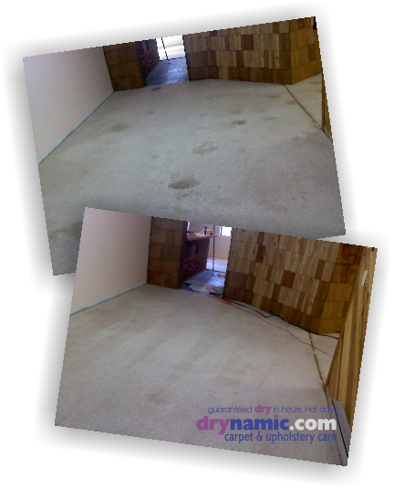 Drynamic Carpet & Upholstery Care | 9663 Norfolk Ave, Laurel, MD 20723 | Phone: (301) 725-7747