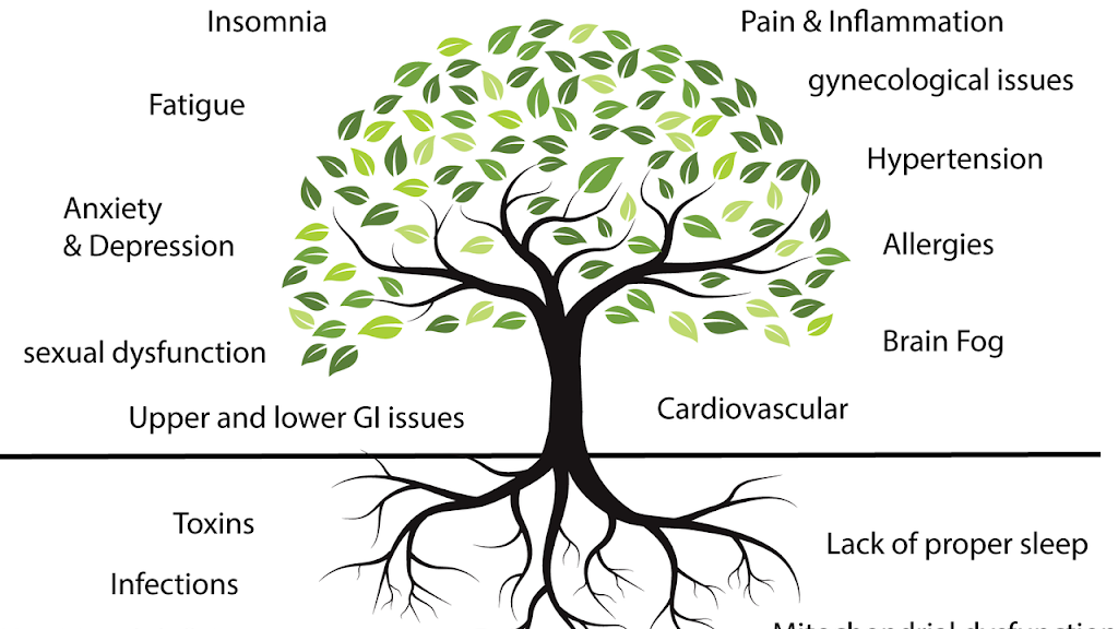 Dr Senz Functional Wellness | 404 Bacon Rd, Painesville, OH 44077, USA | Phone: (440) 639-1100