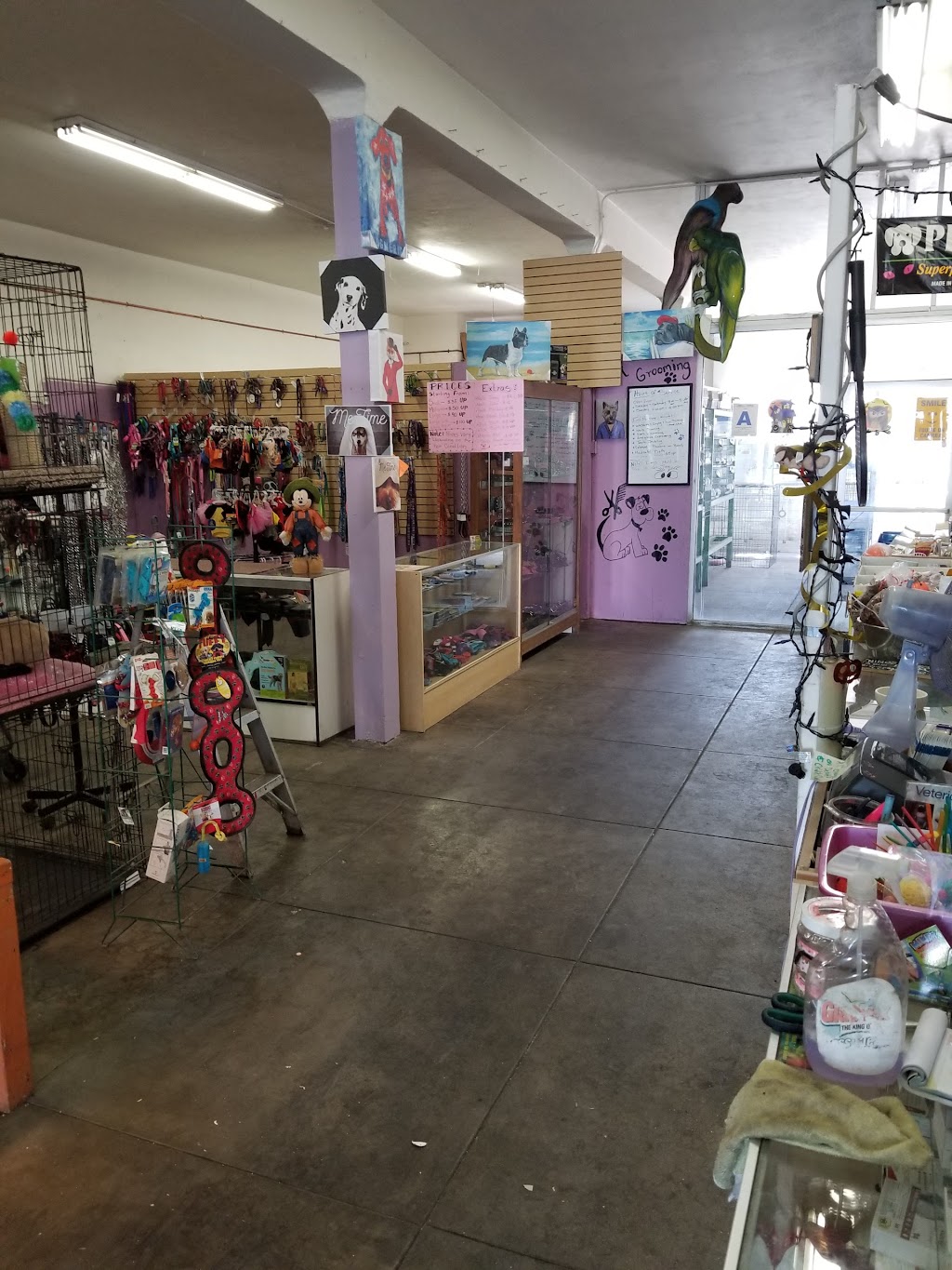 Mikes Pet Store and pet grooming | 1224 Florence Ave, Los Angeles, CA 90001 | Phone: (323) 585-6553