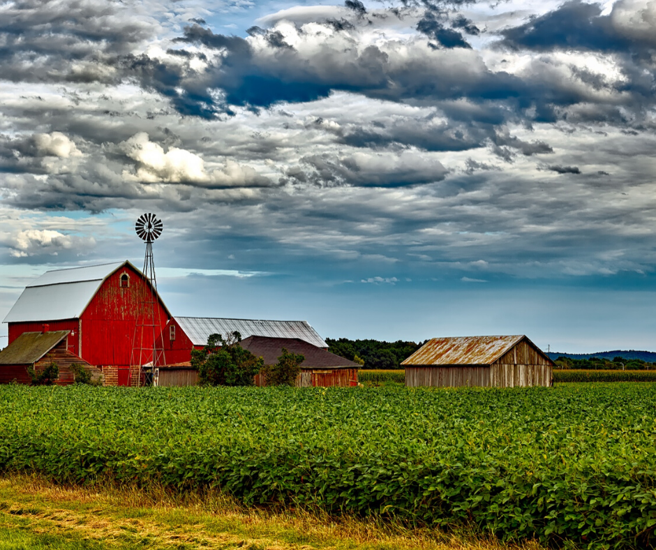 Matt Donnellon - State Farm Insurance Agent | 102 Clinton St #1, Manchester, MI 48158, USA | Phone: (734) 428-8364