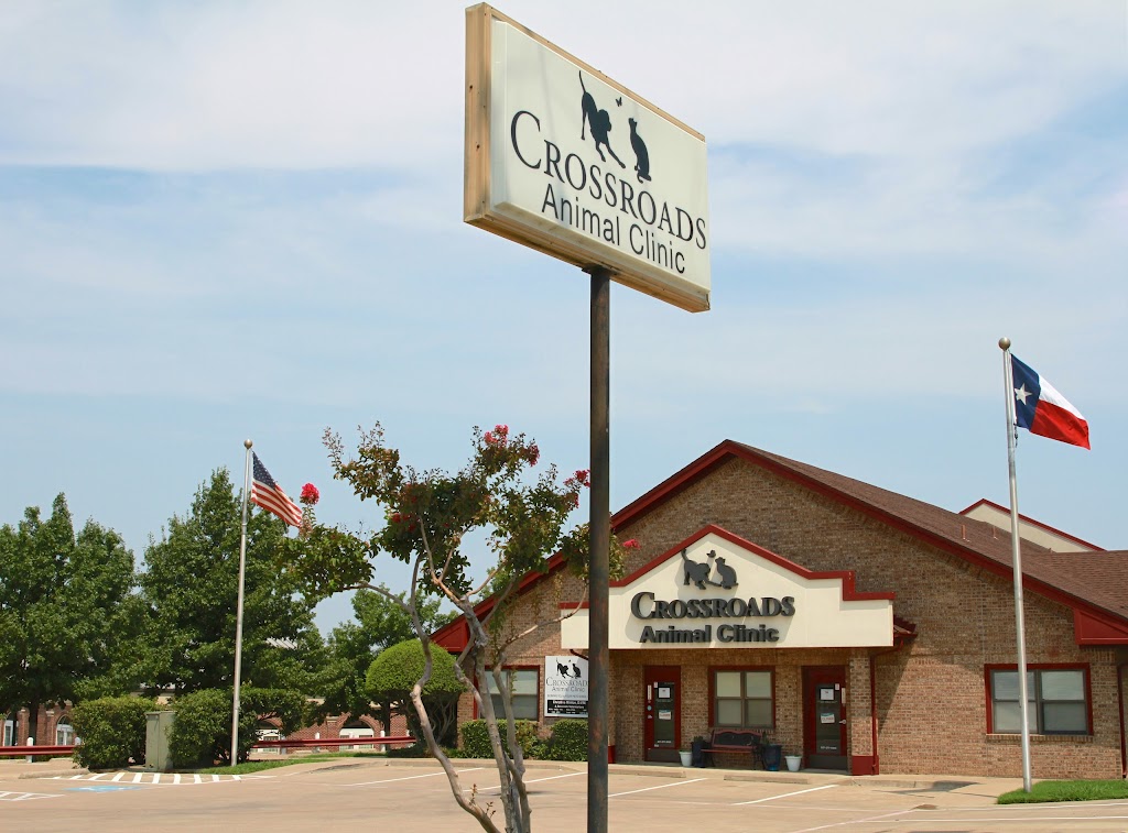 Crossroads Animal Clinic | 919 W Lamar Blvd, Arlington, TX 76012, USA | Phone: (817) 277-9183