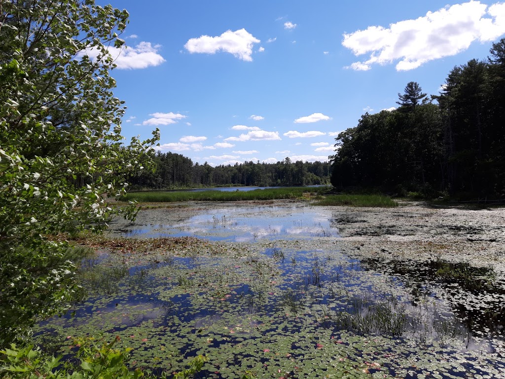 Windham Rail Trail | 7 Depot Rd, Windham, NH 03087 | Phone: (603) 434-0806