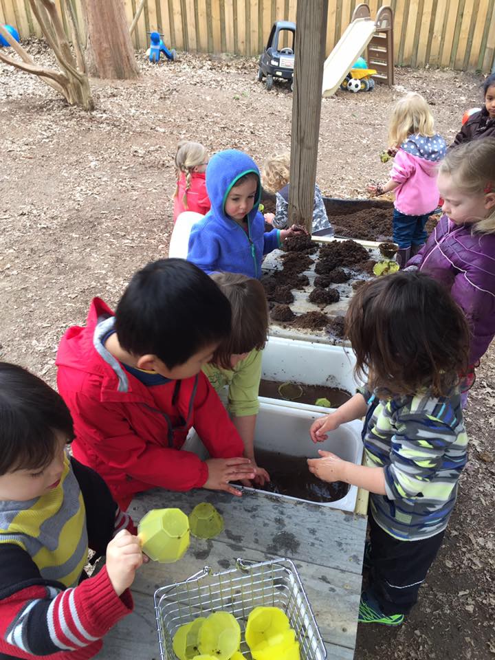 Afton Nature School | 109 Hillcrest Ave, Carrboro, NC 27510, USA | Phone: (919) 636-2836