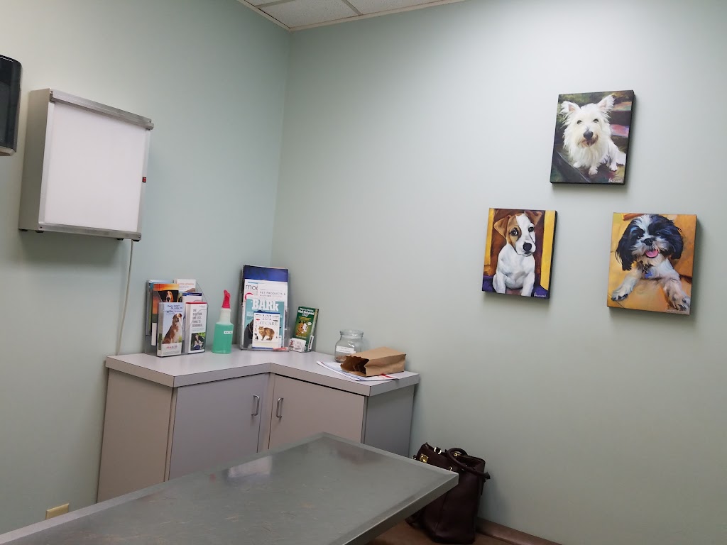 Animal Hospital of W Woodstock | 6687 Bells Ferry Rd # A, Woodstock, GA 30189, USA | Phone: (770) 924-8847