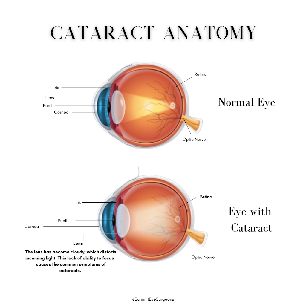 Richard L. Sherry M.D. | 12647 W Smokey Dr Building F, Suite 115, Surprise, AZ 85378, USA | Phone: (623) 249-7589