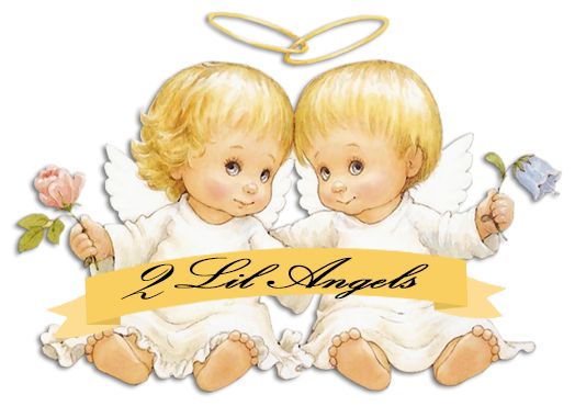 2 Lil Angels Resale Shop | 4317 E Hwy 199, Springtown, TX 76082, USA | Phone: (817) 363-5525