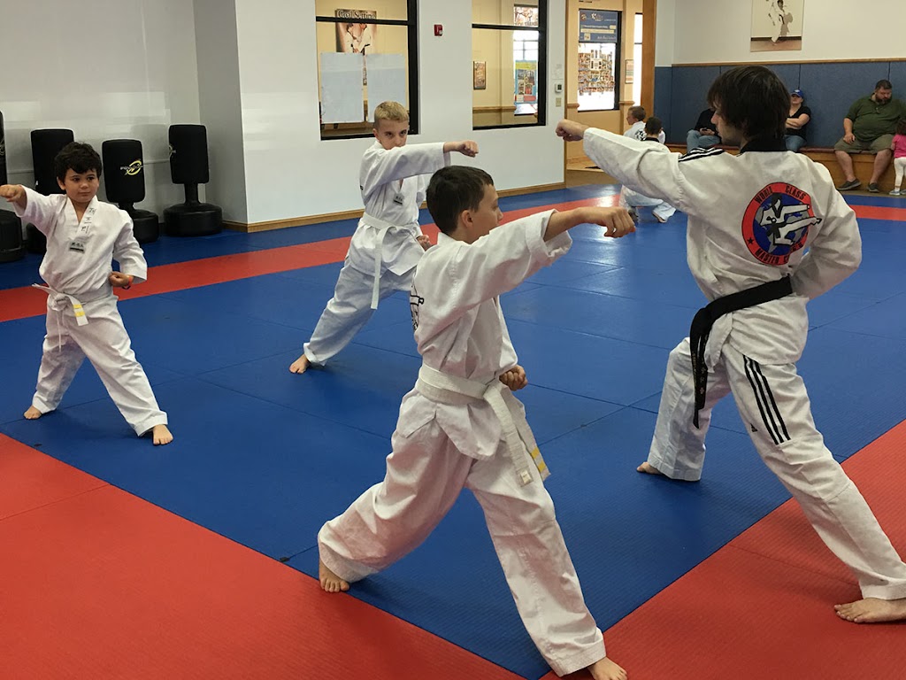 Master Chongs World Class Tae Kwon Do | 4905 Transit Rd, Depew, NY 14043, USA | Phone: (716) 656-7300