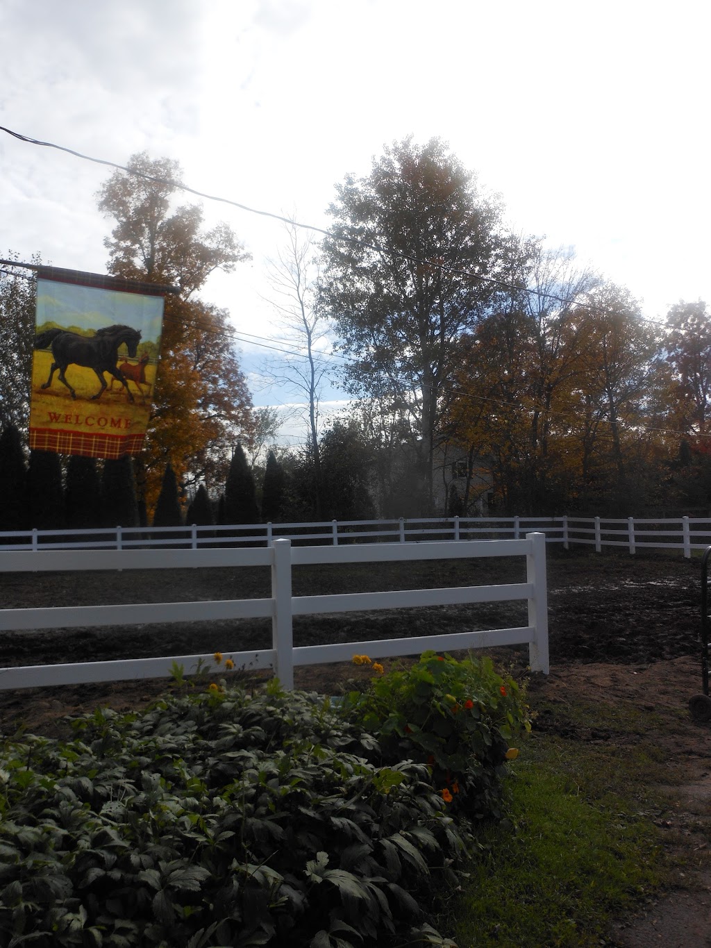 After Hours Farm | 711 Waite Rd, Clifton Park, NY 12065, USA | Phone: (518) 399-3310