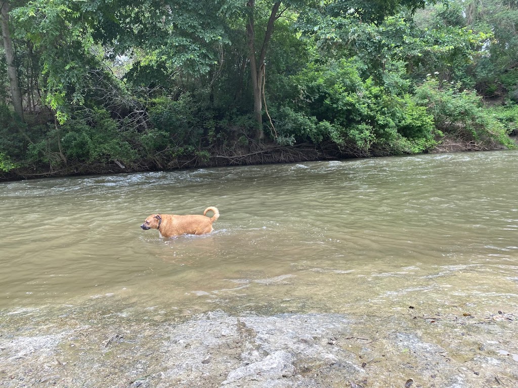 Brushy Creek Dog Park | 200 Co Rd 197, Hutto, TX 78634, USA | Phone: (512) 759-2275