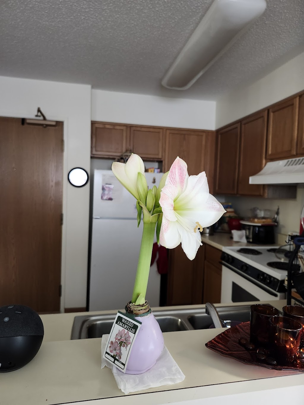 Chotikorn Khunnawat, MD | 715 E Western Reserve Rd 2nd Floor, Poland, OH 44514, USA | Phone: (330) 726-3204