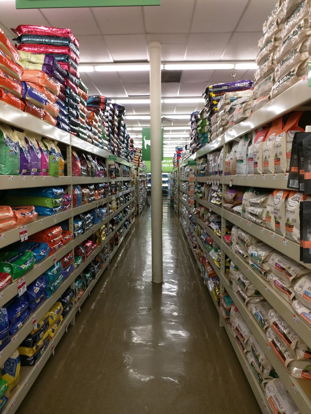 Pet Supplies Plus Talmadge | 4115 Talmadge Rd, Toledo, OH 43623, USA | Phone: (419) 472-5505