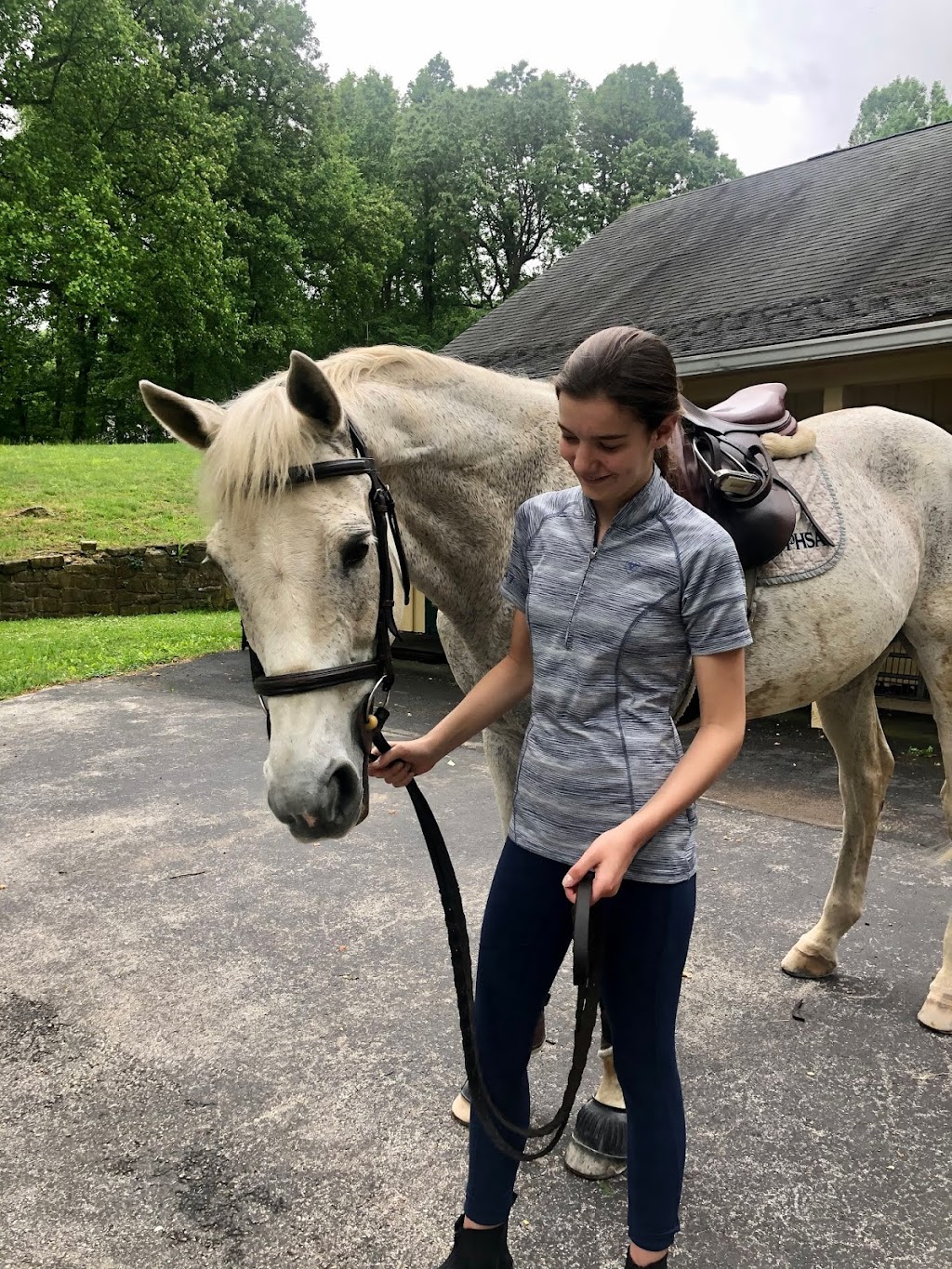 Top Flight Stables | 1608 Wildlife Dr, Chester Springs, PA 19425, USA | Phone: (610) 563-8019