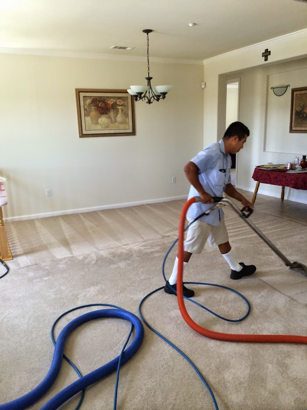 Quality Carpet Care | 14530 Quito Rd STE#1, Saratoga, CA 95070, USA | Phone: (408) 857-0791