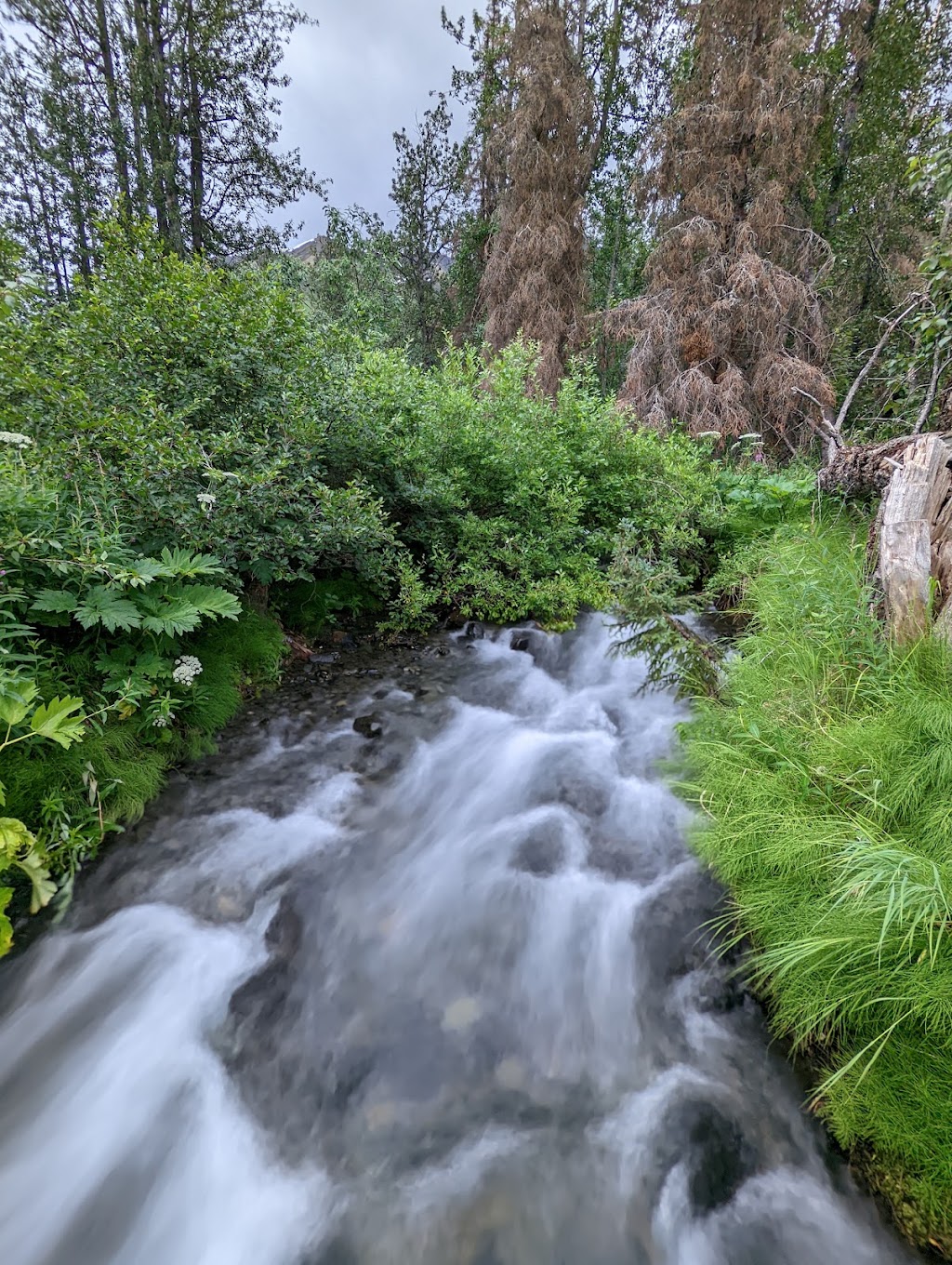 Tenderfoot Creek | Seward Hwy, Anchorage, AK 99501 | Phone: (907) 522-8368