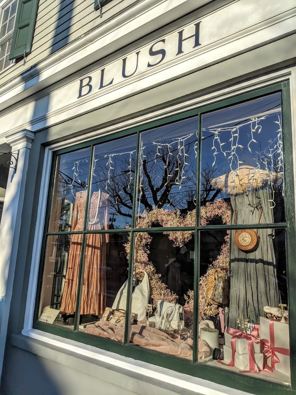 Blush Boutique | 12 Birch Hill Rd, Locust Valley, NY 11560, USA | Phone: (516) 629-6175