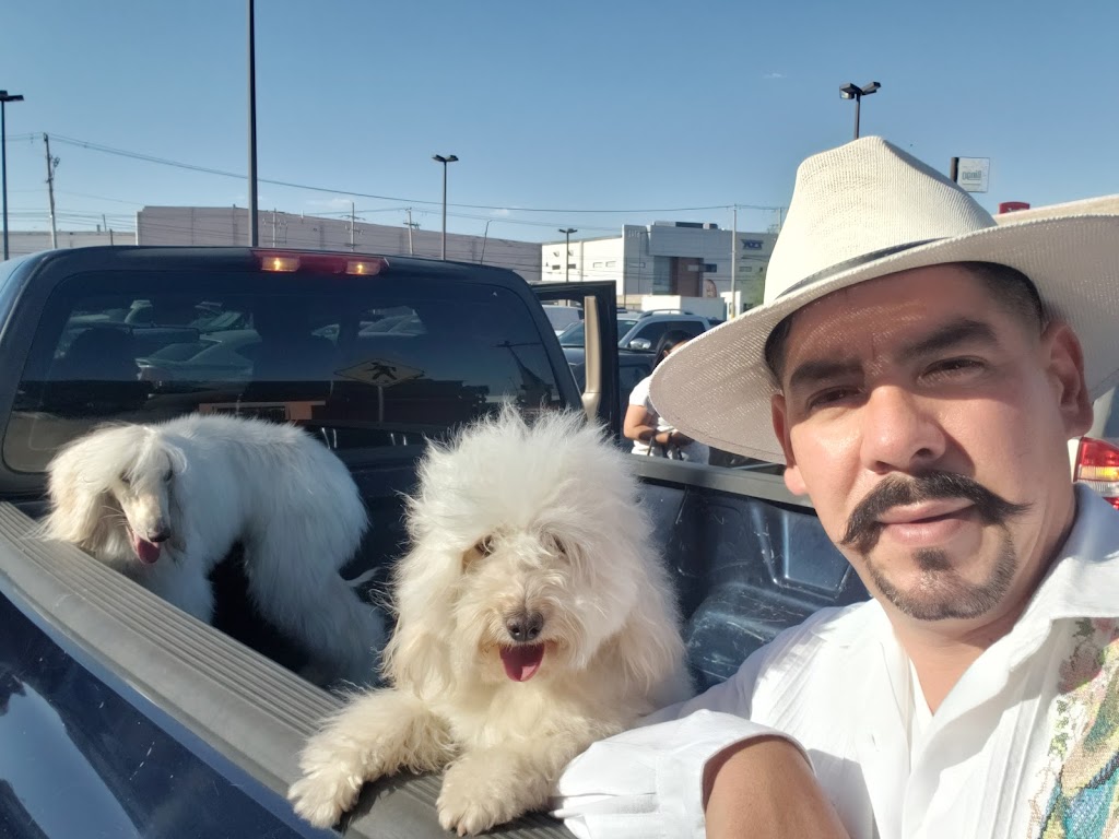 My Vet Animal Care | Av del Charro 709, Raúl García, 32340 Cd Juárez, Chih., Mexico | Phone: 656 962 1313