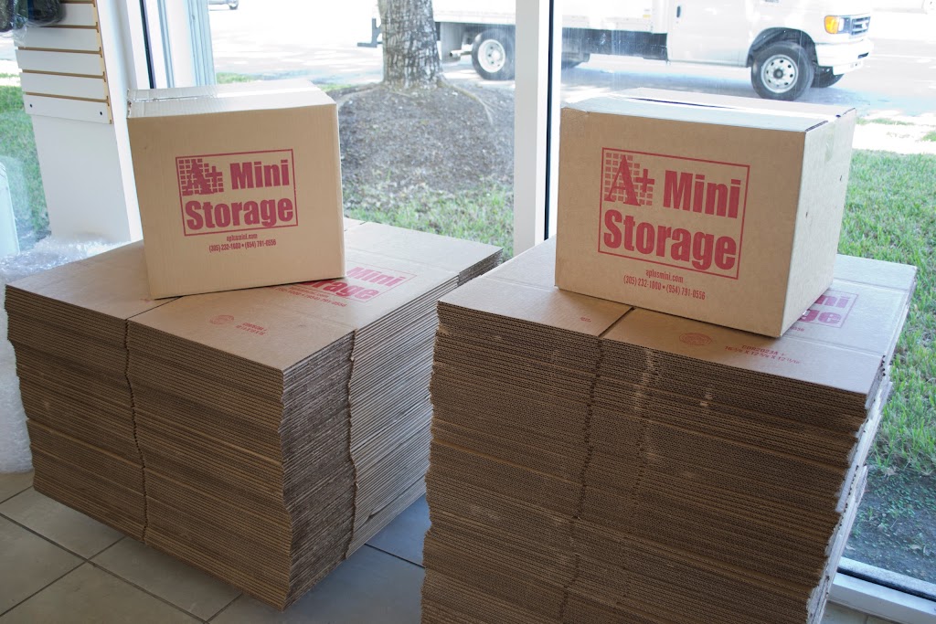 A+ Storage | 12200 SW 117th Ave, Miami, FL 33186, USA | Phone: (786) 701-6355