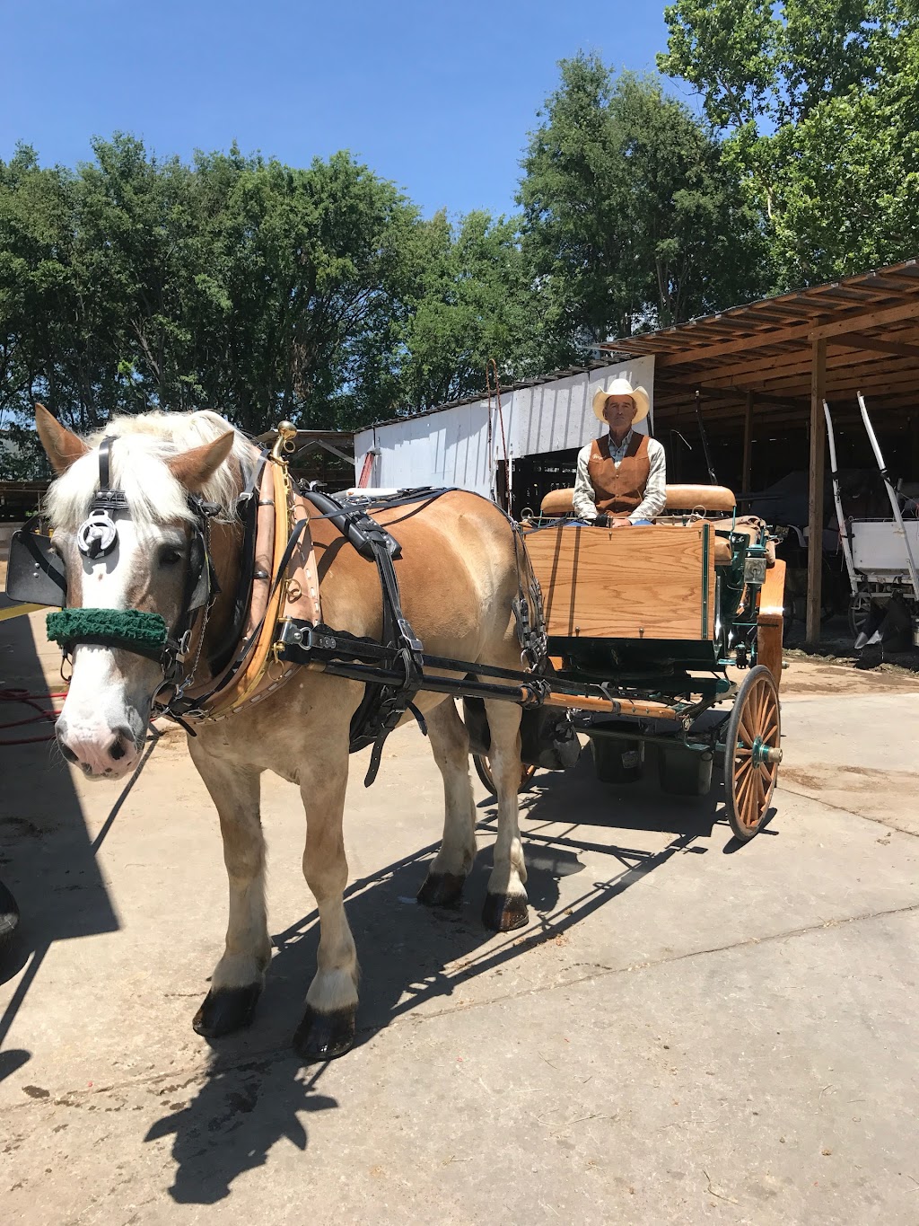 Uptown Carriage Co. - Carriage Rides Memphis | 1051 N 2nd St, Memphis, TN 38107 | Phone: (901) 496-2128