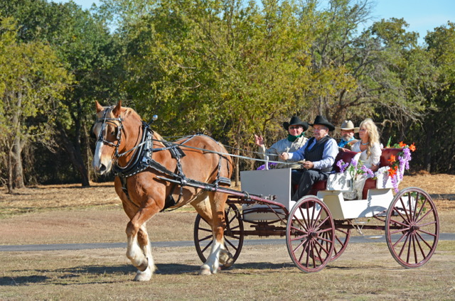 Hill Country Oasis Bed and Breakfast | 950 Williamson Rd, Granbury, TX 76048, USA | Phone: (661) 345-2754