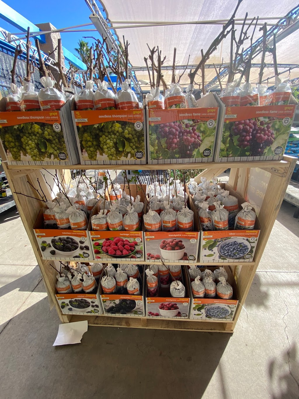 Walmart Garden Center | 479 N McKinley St, Corona, CA 92879, USA | Phone: (951) 270-0707