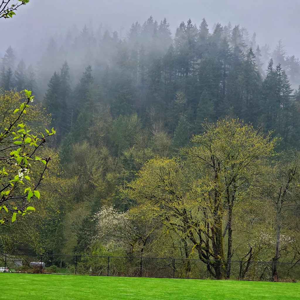 Squak Valley Park | 10235, 10261 Issaquah-Hobart Road Southeast, Issaquah, WA 98027, USA | Phone: (425) 837-3300