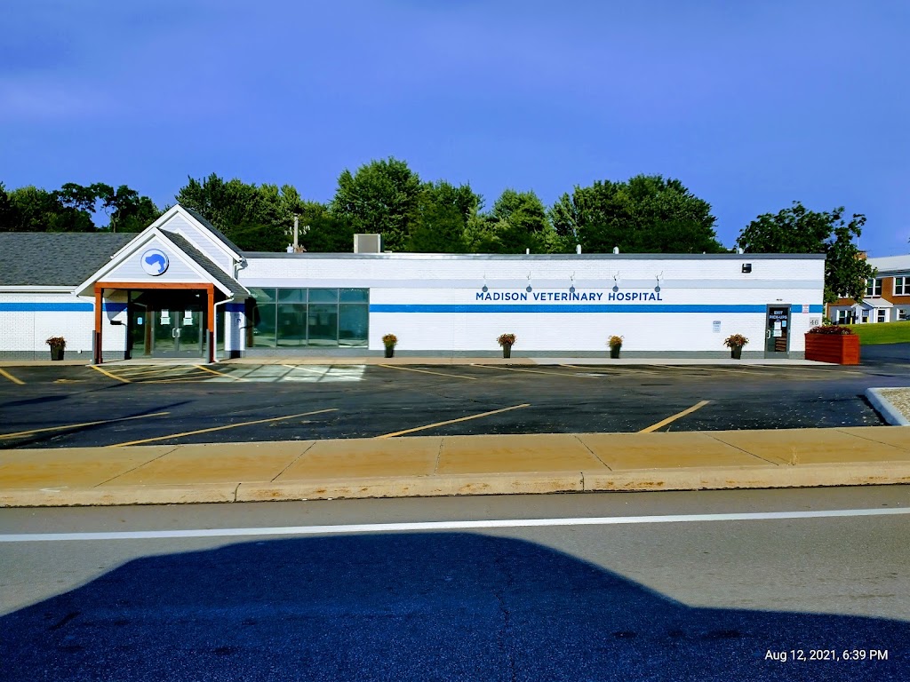 Madison Veterinary Hospital | 46 N Lake St, Madison, OH 44057, USA | Phone: (440) 428-5335