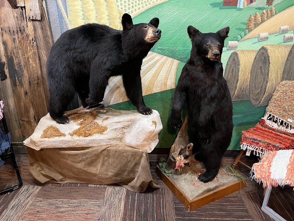 Owlet Gift Shop at McDanels Launch Area | 118 N Shore Dr, Portersville, PA 16051, USA | Phone: (724) 368-9185