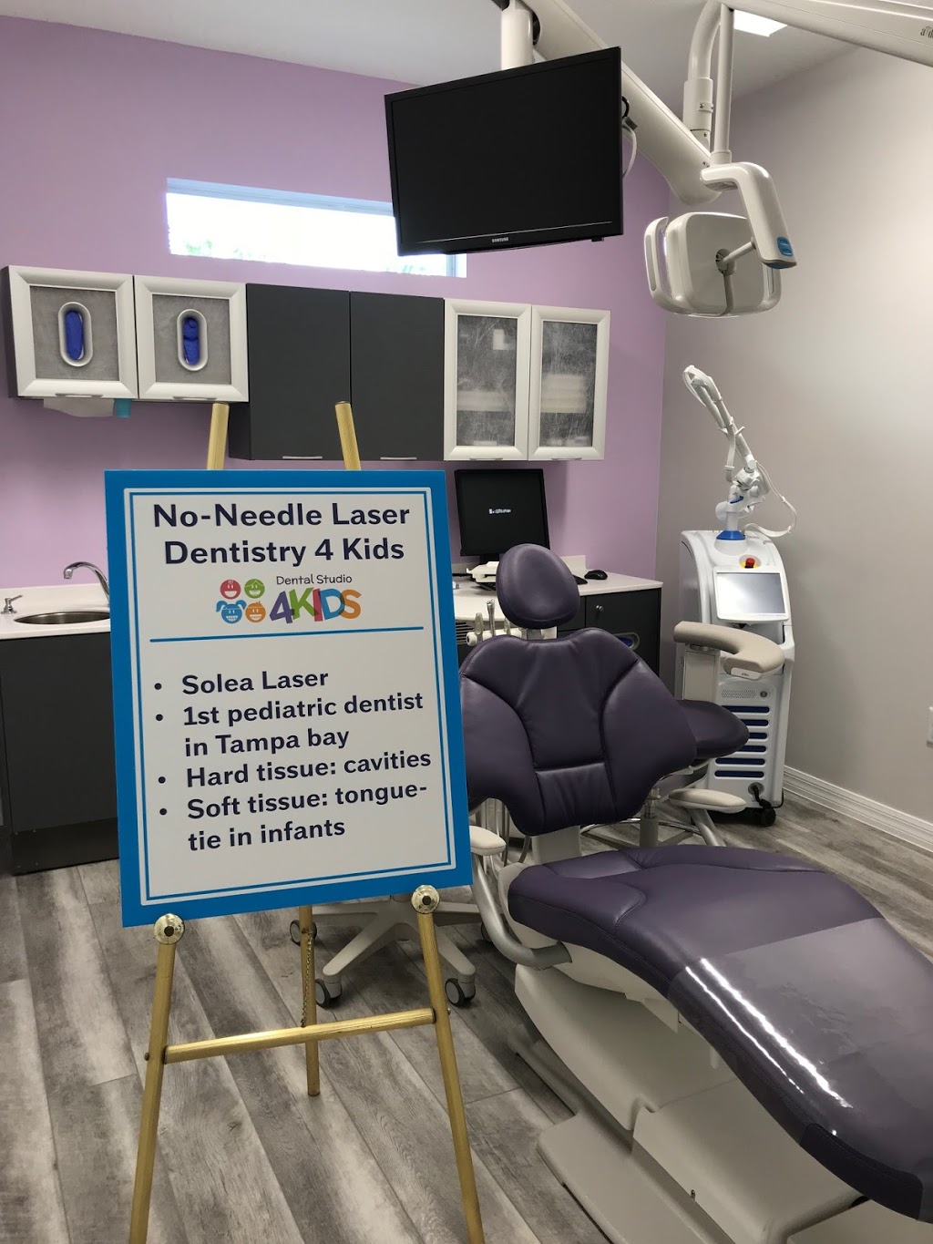 Dental Studio 4 Kids | 4675 Van Dyke Rd, Lutz, FL 33558, USA | Phone: (813) 591-2200